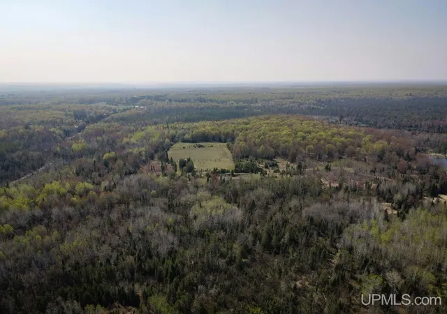Photo 4 of Land for sale at Tbd Parks Farm Rd, Amasa, MI 49903 | MLS# 50217479 | Listing updated on 2026-08-05
