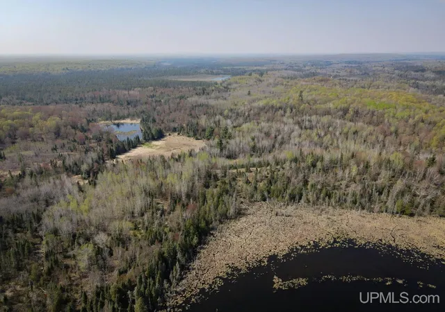 Photo 5 of Land for sale at Tbd Parks Farm Rd, Amasa, MI 49903 | MLS# 50217479 | Listing updated on 2026-08-05