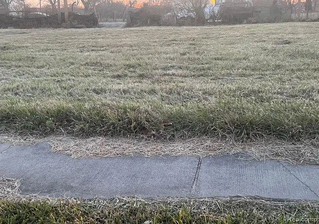 Photo 2 of Land for sale at 9041 Chrysler Dr, Detroit, MI 48211 | MLS# 60278144 | Listing updated on 2026-06-23