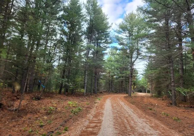 Photo 2 of Sale Pending at Parcel S 12th Street, Baldwin, MI 49304 | MLS# 70499353 | Listing updated on 2025-10-27