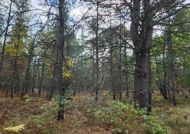 Photo 3 of Sale Pending at Parcel S 12th Street, Baldwin, MI 49304 | MLS# 70499353 | Listing updated on 2025-10-27