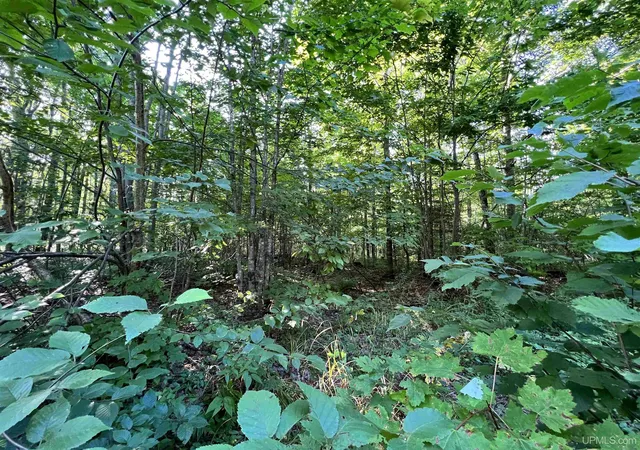 2nd image of 67, 68, 69 Brown Rd, Nisula, MI 49952 | MLS# 50171005
