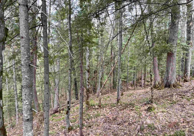 9th image of 67, 68, 69 Brown Rd, Nisula, MI 49952 | MLS# 50171005