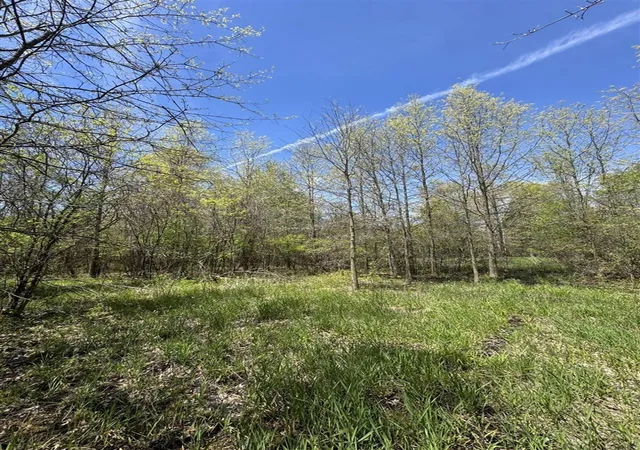 4th image of 44500 38Th Ave, Paw Paw, MI 49079 | MLS# 70537352
