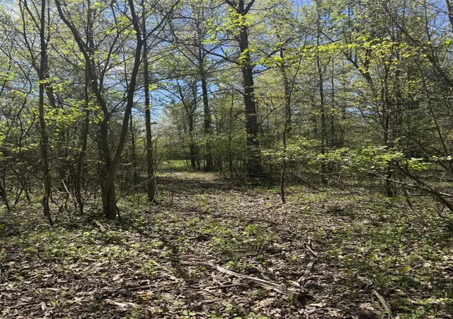 5th image of 44500 38Th Ave, Paw Paw, MI 49079 | MLS# 70537352