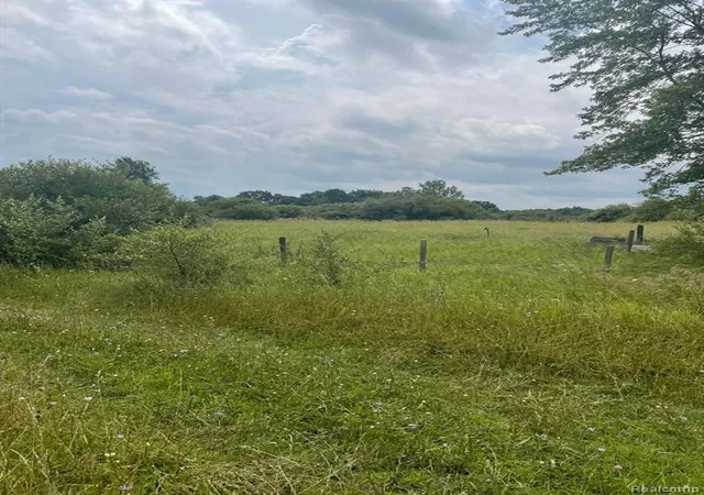 Photo 1 of Land for sale at 0000 Brauer Rd, Oxford, MI 48371 | MLS# 60374417 | Listing updated on 2026-08-05