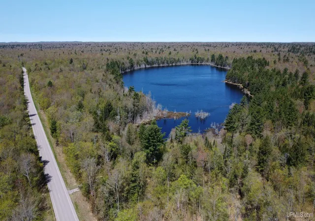 Homes for sale in Shingleton, MI | Off Adams Trail Rd, Shingleton, MI 49884 | MLS# 50209444