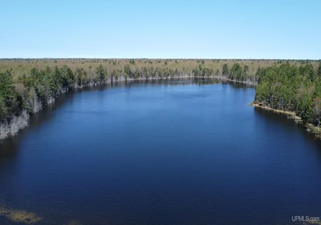 Homes for sale in Shingleton, MI | Off Adams Trail Rd, Shingleton, MI 49884 | MLS# 50209444