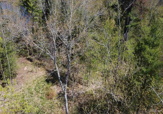 Homes for sale in Shingleton, MI | Off Adams Trail Rd, Shingleton, MI 49884 | MLS# 50209444