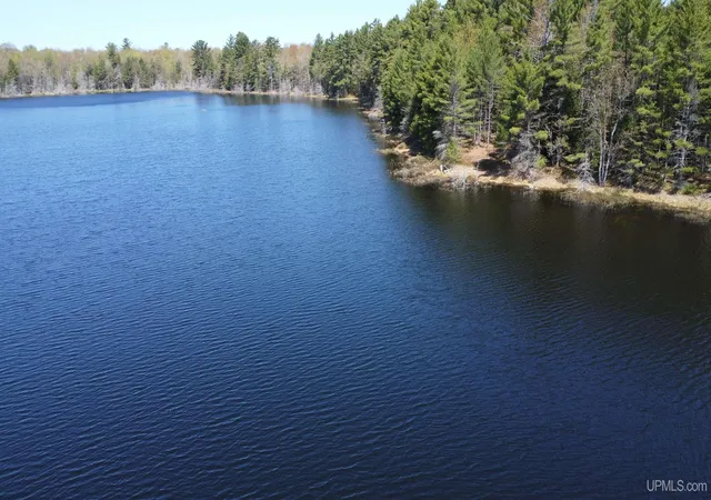 Homes for sale in Shingleton, MI | Off Adams Trail Rd, Shingleton, MI 49884 | MLS# 50209444