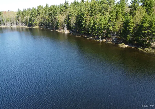Homes for sale in Shingleton, MI | Off Adams Trail Rd, Shingleton, MI 49884 | MLS# 50209444