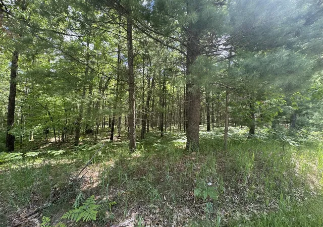 Homes for sale in Brohman, MI | 2830 W Pierce Dr, Brohman, MI 49312 | MLS# 70537842