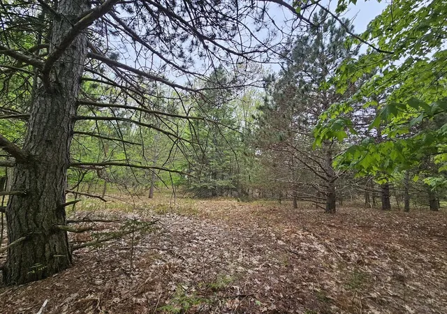 Photo 3 of Land for sale at 8941 S E Torch Lake Dr, Alden, MI 49612 | MLS# 70534251 | Listing updated on 2026-06-08