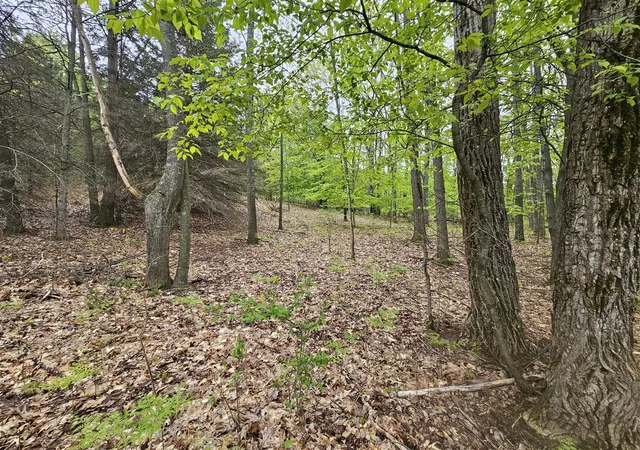 Photo 4 of Land for sale at 8941 S E Torch Lake Dr, Alden, MI 49612 | MLS# 70534251 | Listing updated on 2026-06-08