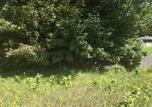 Photo 3 of Land for sale at Vl Whitehall Rd, Whitehall, MI 49461 | MLS# 70490062 | Listing updated on 2026-07-30