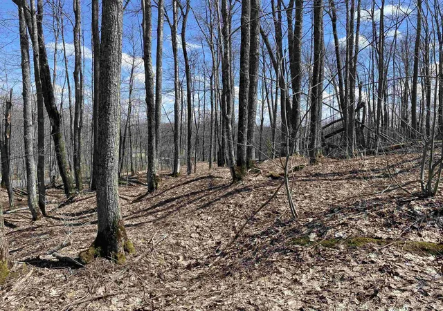 Homes for sale in South Range, MI | Tbd Lot 24 S Whealkate Dr, South Range, MI 49963 | MLS# 50202938