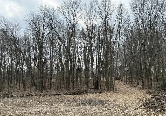 2nd image of V/l Yawger Rd, Battle Creek, MI 49017 | MLS# 70519182