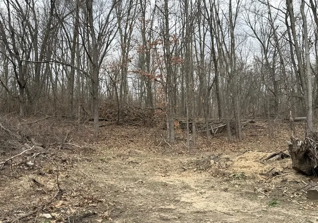 3rd image of V/L Yawger Rd, Battle Creek, MI 49017 | MLS# 70519182