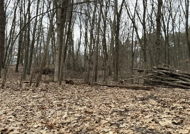 5th image of V/L Yawger Rd, Battle Creek, MI 49017 | MLS# 70519182