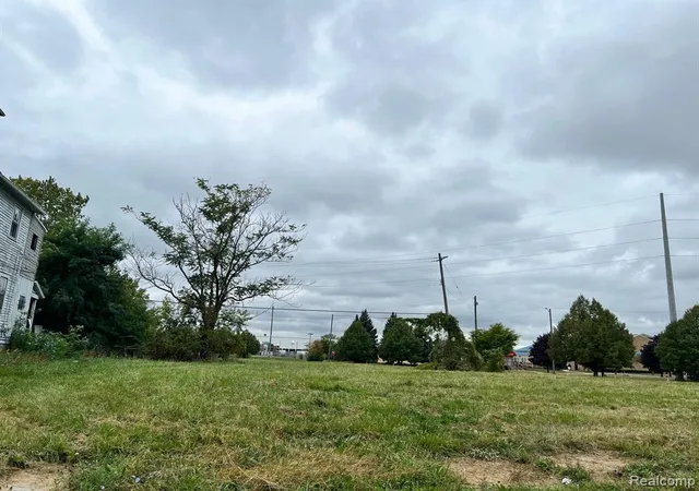 Photo 2 of Land for sale at 967 Conner St, Detroit, MI 48215 | MLS# 60345186 | Listing updated on 2026-02-04