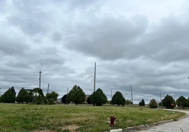 Photo 3 of Land for sale at 967 Conner St, Detroit, MI 48215 | MLS# 60345186 | Listing updated on 2026-02-04