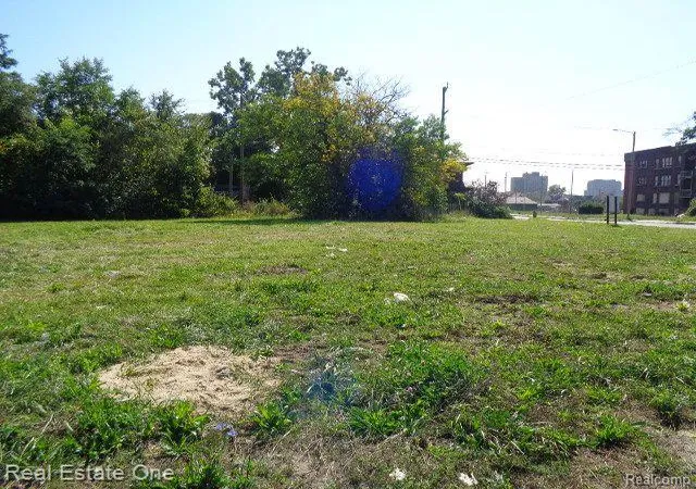 3rd image of 404 Harper Ave, Detroit, MI 48202 | MLS# 60261285