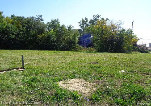 4th image of 404 Harper Ave, Detroit, MI 48202 | MLS# 60261285