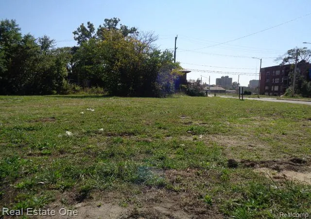 5th image of 404 Harper Ave, Detroit, MI 48202 | MLS# 60261285