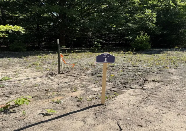 image of Sadie Ln, Bear Lake, MI 49614 | MLS# 70544120