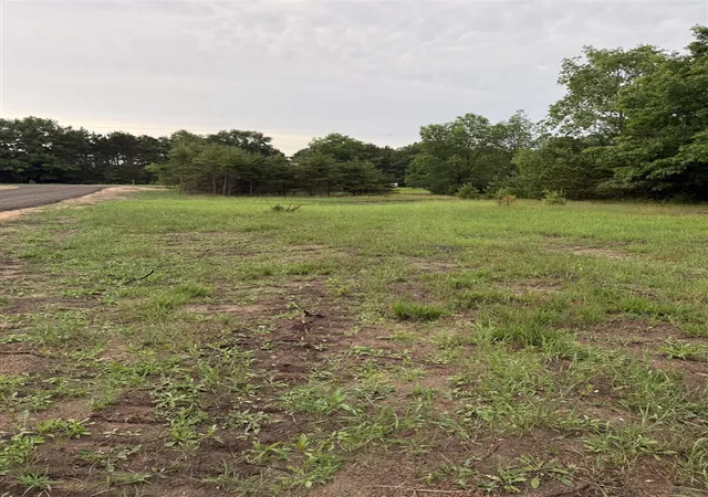 image of Sadie Ln, Bear Lake, MI 49614 | MLS# 70544120