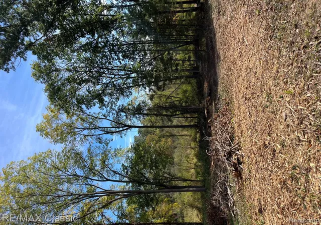 Homes for sale in Pinckney, MI | 0000 Old Mill Rd, Pinckney, MI 48169 | MLS# 60995454