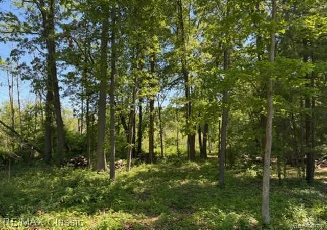 Homes for sale in Pinckney, MI | 0000 Old Mill Rd, Pinckney, MI 48169 | MLS# 60995454