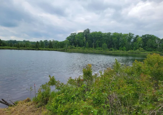 Photo 3 of Land for sale at Parcel 2 Simpson Trl, Harrison, MI 48625 | MLS# 50212125 | Listing updated on 2026-09-19