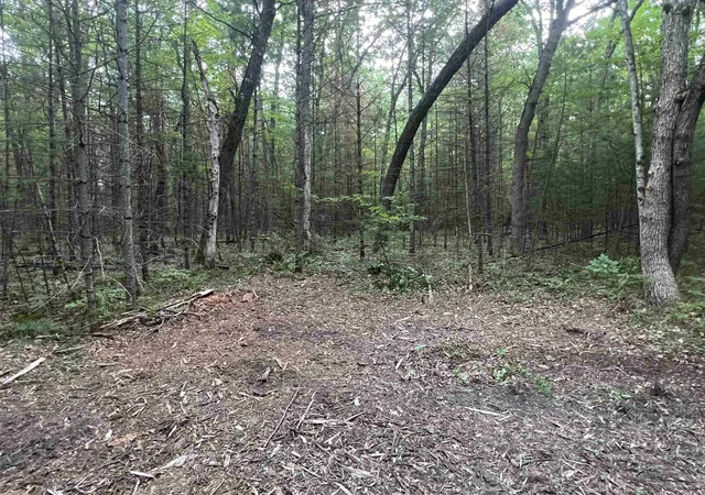 Photo 4 of Land for sale at Parcel 2 Simpson Trl, Harrison, MI 48625 | MLS# 50212125 | Listing updated on 2026-09-19