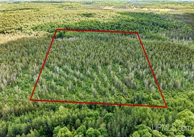 Photo 14 of Land for sale at 1188 Nw S Ross Wells Rd, Arnold, MI 49819 | MLS# 50212627 | Listing updated on 2026-07-01