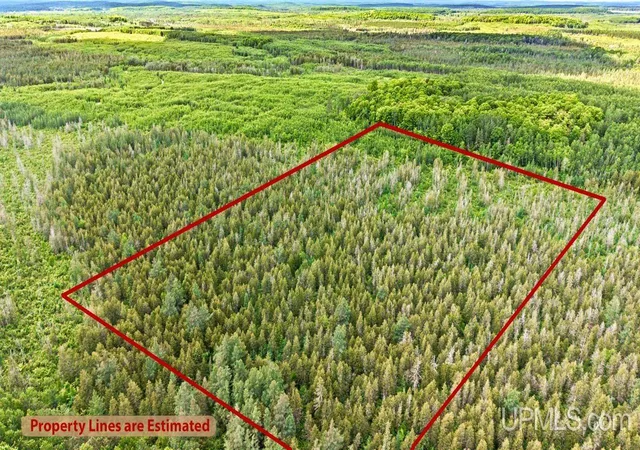 Photo 1 of Land for sale at 1188 Nw S Ross Wells Rd, Arnold, MI 49819 | MLS# 50212627 | Listing updated on 2026-07-01