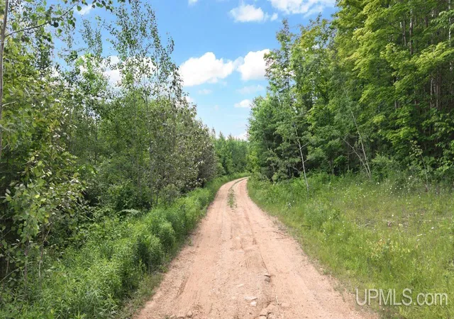 Photo 2 of Land for sale at 1188 Nw S Ross Wells Rd, Arnold, MI 49819 | MLS# 50212627 | Listing updated on 2026-07-01
