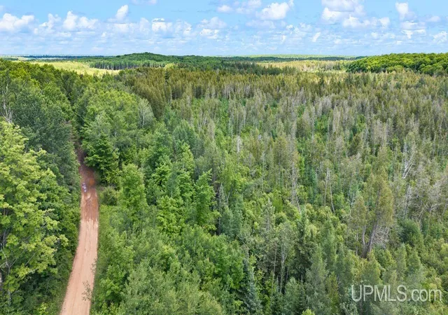 Photo 3 of Land for sale at 1188 NW S Ross Wells Rd, Arnold, MI 49819 | MLS# 50212627 | Listing updated on 2026-07-01