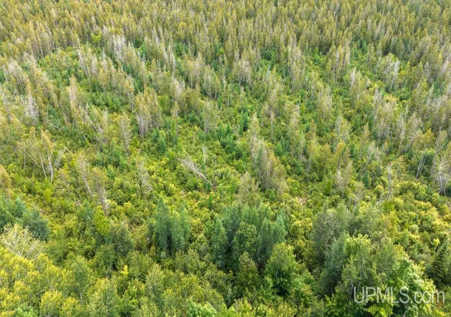 Photo 4 of Land for sale at 1188 NW S Ross Wells Rd, Arnold, MI 49819 | MLS# 50212627 | Listing updated on 2026-07-01