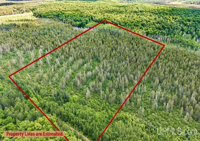 Photo 5 of Land for sale at 1188 NW S Ross Wells Rd, Arnold, MI 49819 | MLS# 50212627 | Listing updated on 2026-07-01