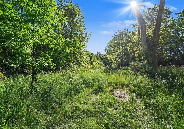 Photo 3 of Land for sale at 9605 Holden Rd, Baroda, MI 49101 | MLS# 70542686 | Listing updated on 2026-08-17