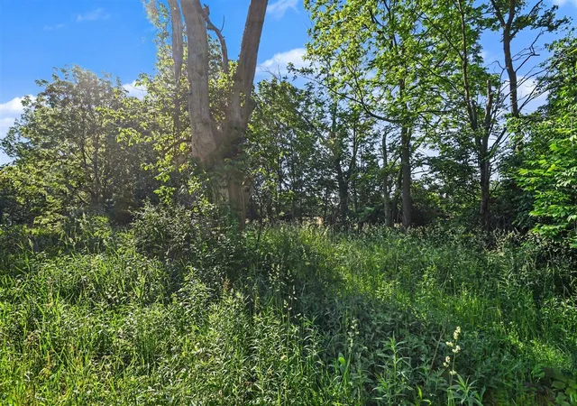 Photo 4 of Land for sale at 9605 Holden Rd, Baroda, MI 49101 | MLS# 70542686 | Listing updated on 2026-08-17