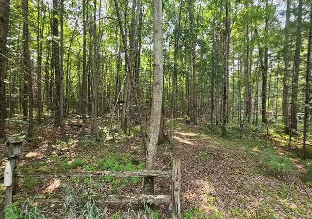 Photo 1 of Land for sale at Lot 12 W River Dr, Gladwin, MI 48624 | MLS# 50217206 | Listing updated on 2026-08-03