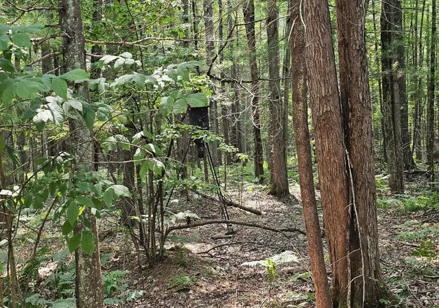 Photo 3 of Land for sale at Lot 12 W River Dr, Gladwin, MI 48624 | MLS# 50217206 | Listing updated on 2026-08-03