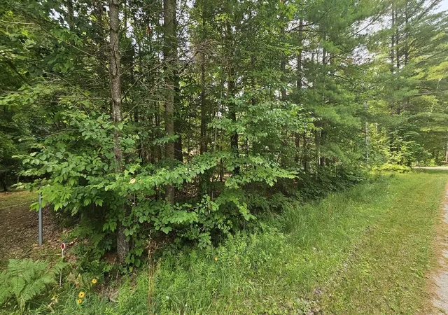 Photo 4 of Land for sale at Lot 12 W River Dr, Gladwin, MI 48624 | MLS# 50217206 | Listing updated on 2026-08-03