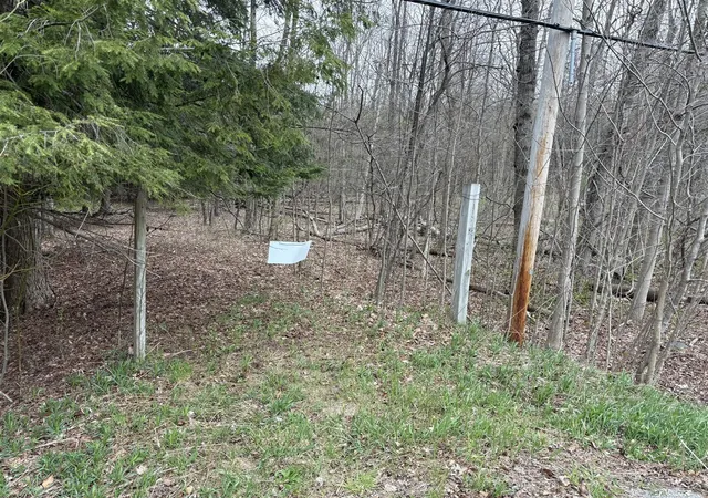 Homes for sale in Shelby, MI | 227 Acres W Shelby Rd, Shelby, MI 49455 | MLS# 70528333