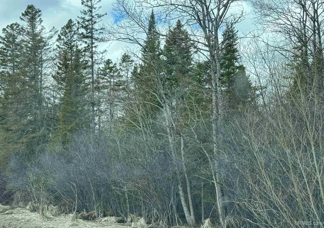 Photo 3 of Land for sale at Tbd Us 2 Hwy, Escanaba, MI 49829 | MLS# 50206462 | Listing updated on 2026-05-05