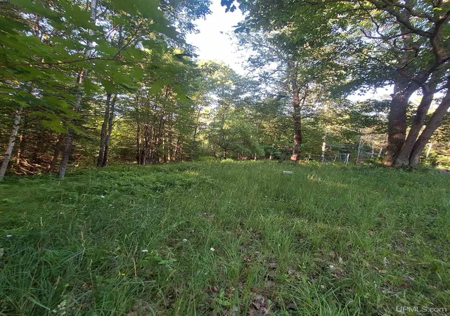 Photo 4 of Sale Pending at 1557 County Rd 424, Crystal Falls, MI 49920 | MLS# 50215904 | Listing updated on 2026-08-07