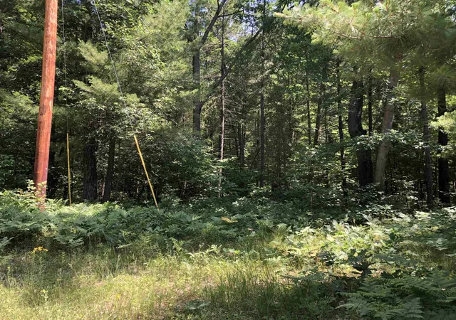 1st image of Tbd Peasley Blvd, Harrison, MI 48625 | MLS# 50214659