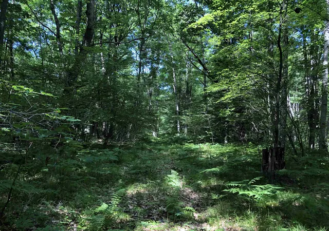 3rd image of Tbd Peasley Blvd, Harrison, MI 48625 | MLS# 50214659